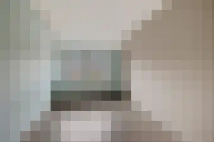 Pijlkruid 3 Zuidhorn thumbnail 20