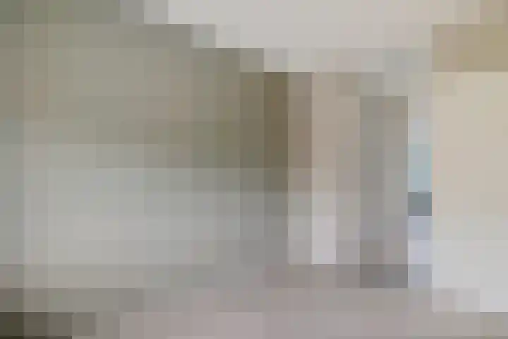 Pijlkruid 3 Zuidhorn thumbnail 23