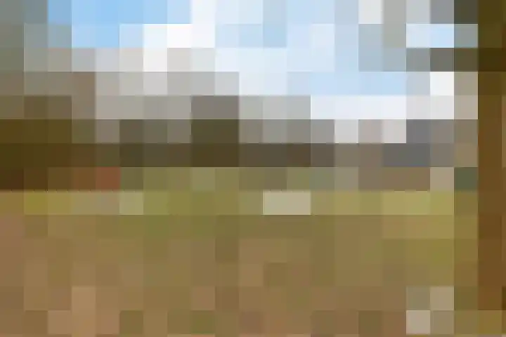 Pijlkruid 3 Zuidhorn thumbnail 27