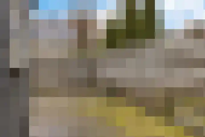 Pijlkruid 3 Zuidhorn thumbnail 28