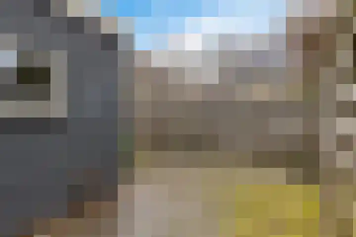 Pijlkruid 3 Zuidhorn thumbnail 29