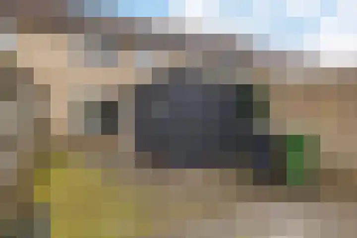 Pijlkruid 3 Zuidhorn thumbnail 30