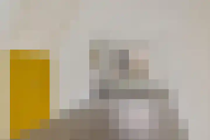 Pijlkruid 3 Zuidhorn thumbnail 7