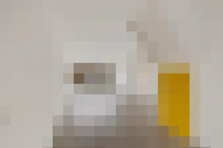 Pijlkruid 3 Zuidhorn thumbnail 8