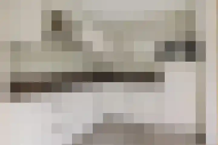 Pijlkruid 3 Zuidhorn thumbnail 9