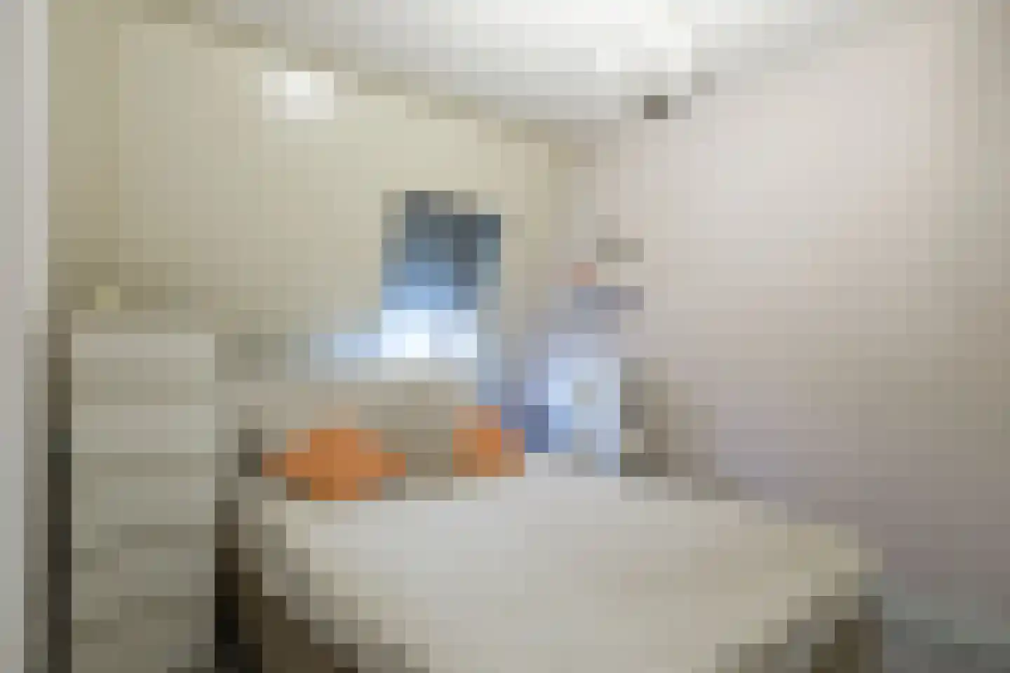 Pijlkruid 32 De Meern thumbnail 13