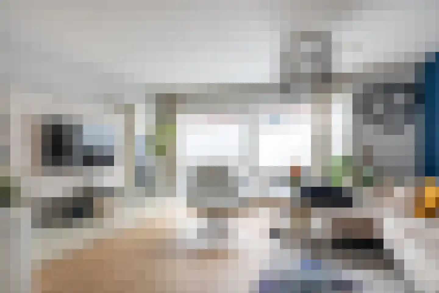 Pijlkruid 32 De Meern foto 2