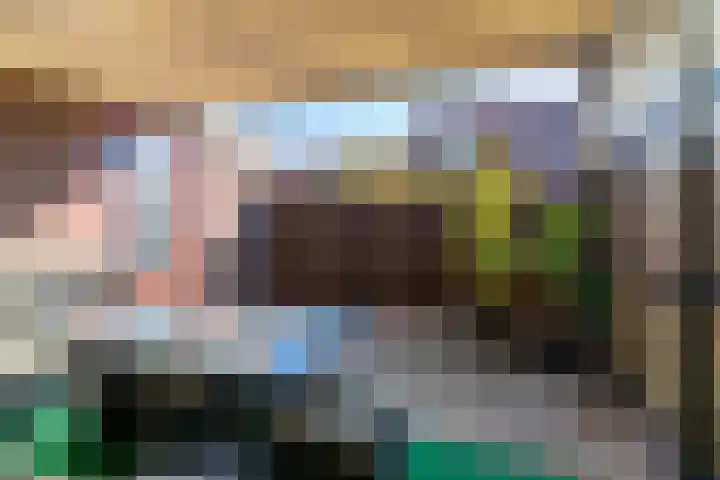 Pijlkruid 34 De Meern thumbnail 16