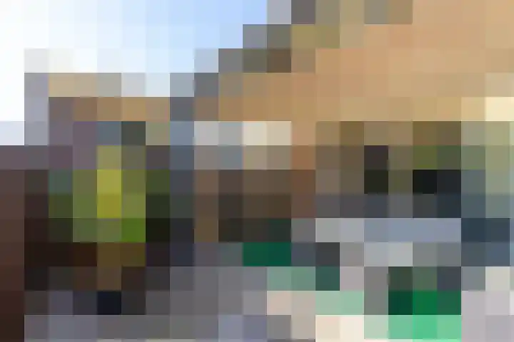 Pijlkruid 34 De Meern thumbnail 17