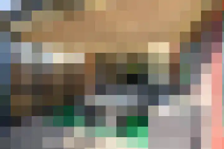 Pijlkruid 34 De Meern thumbnail 18