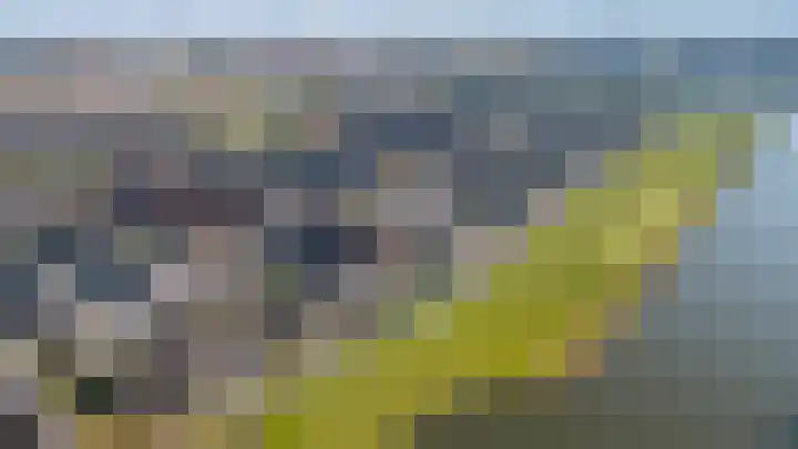 Pijlkruid 34 De Meern thumbnail 36