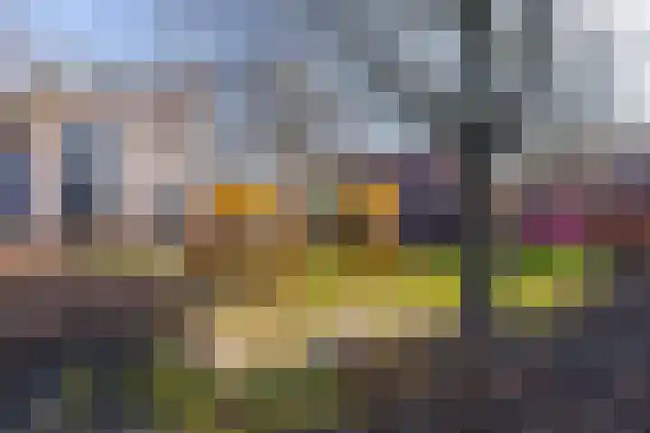 Pijlkruid 34 De Meern thumbnail 38
