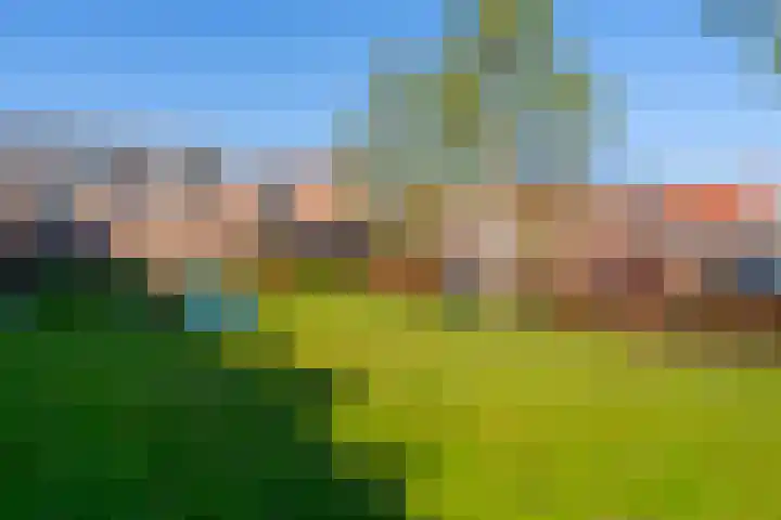 Pijlkruid 34 De Meern thumbnail 39
