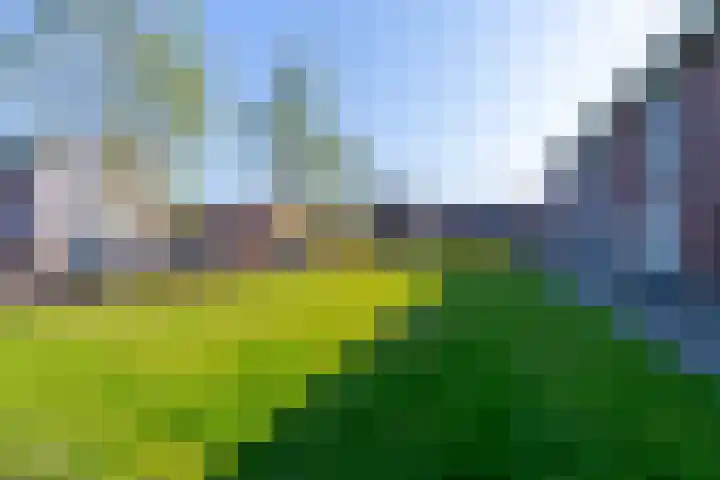Pijlkruid 34 De Meern thumbnail 40