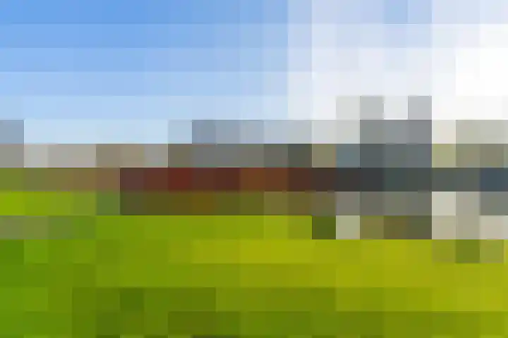 Pijlkruid 34 De Meern thumbnail 41