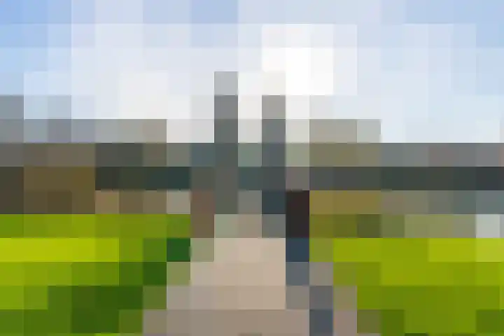 Pijlkruid 34 De Meern thumbnail 42