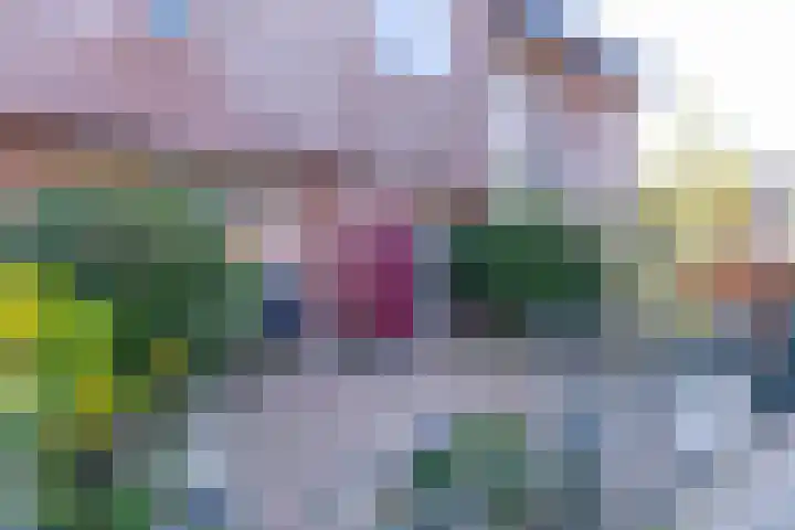 Pijlkruid 34 De Meern thumbnail 6