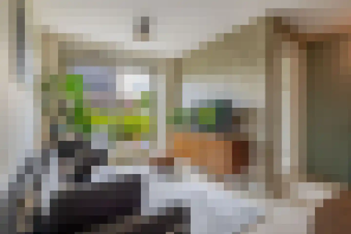 Pijlkruid 37 Meerstad thumbnail 11
