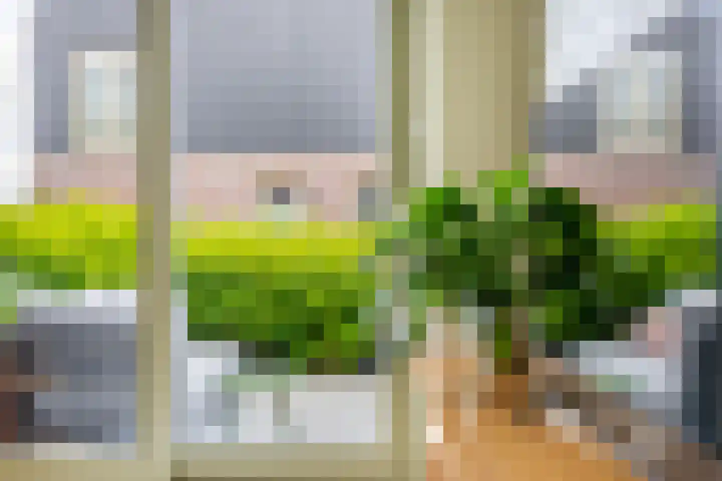 Pijlkruid 37 Meerstad thumbnail 19