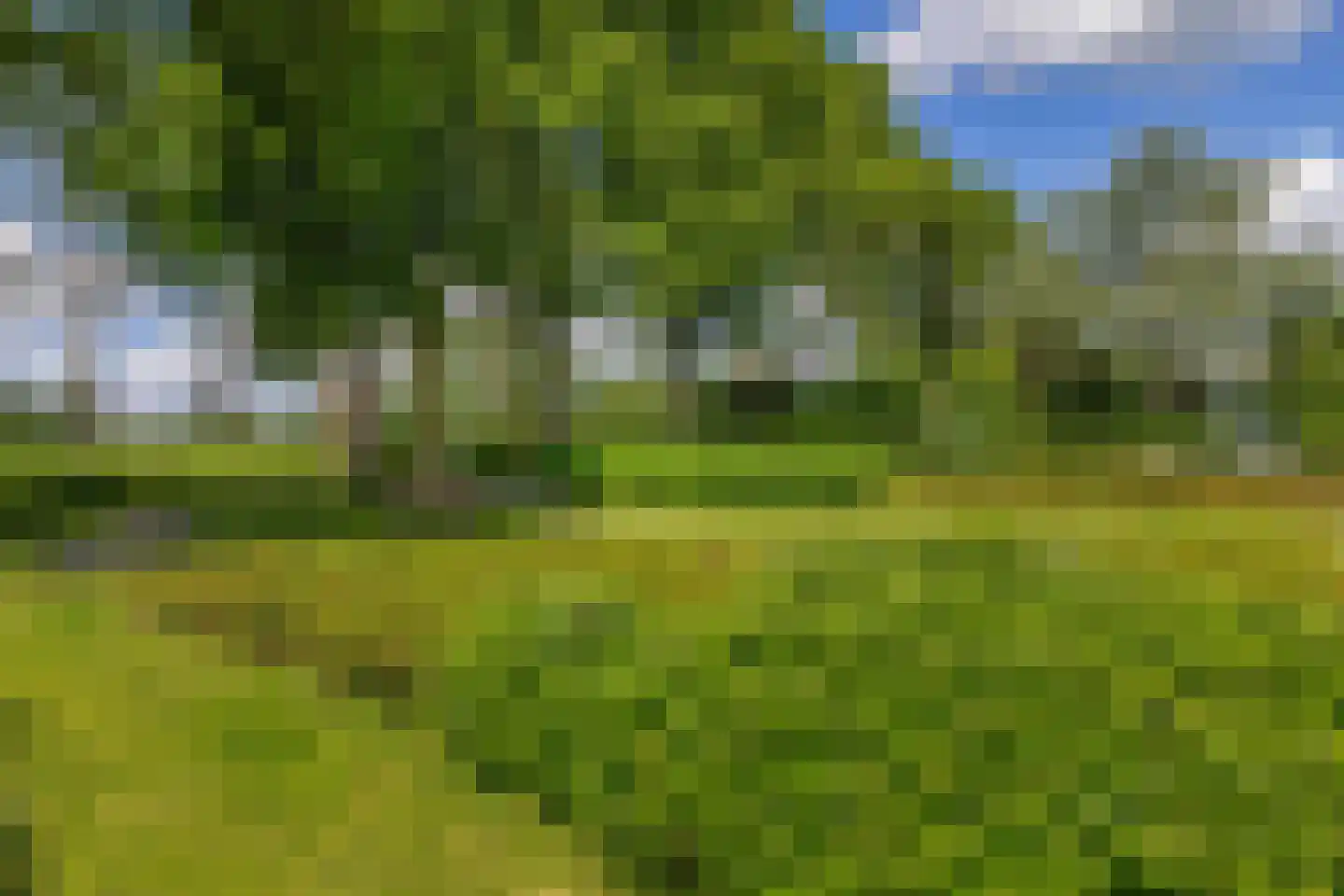 Pijlkruid 37 Meerstad thumbnail 34