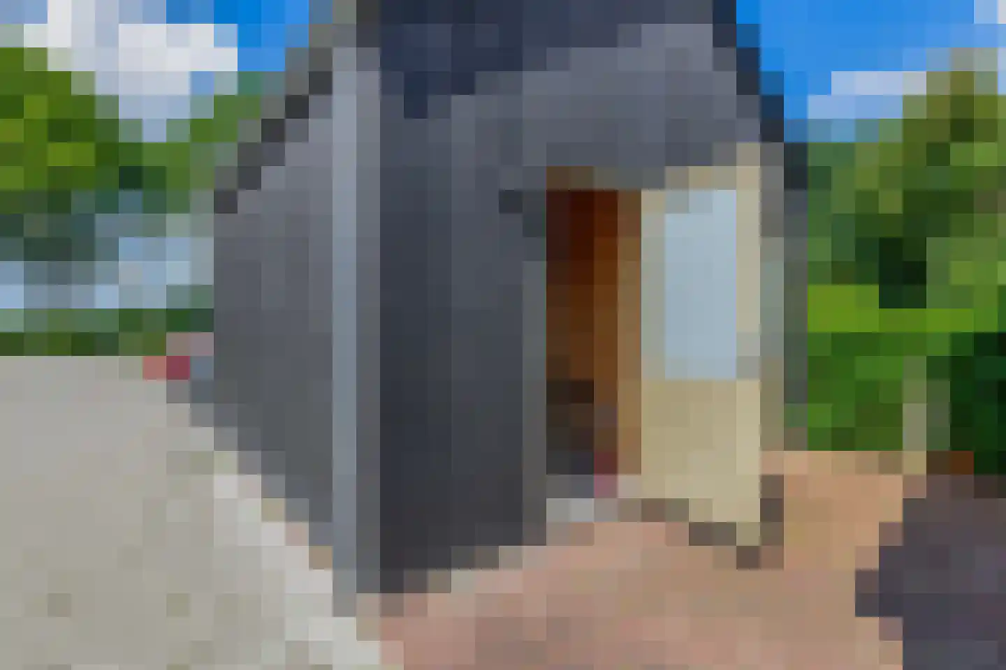 Pijlkruid 37 Meerstad thumbnail 37