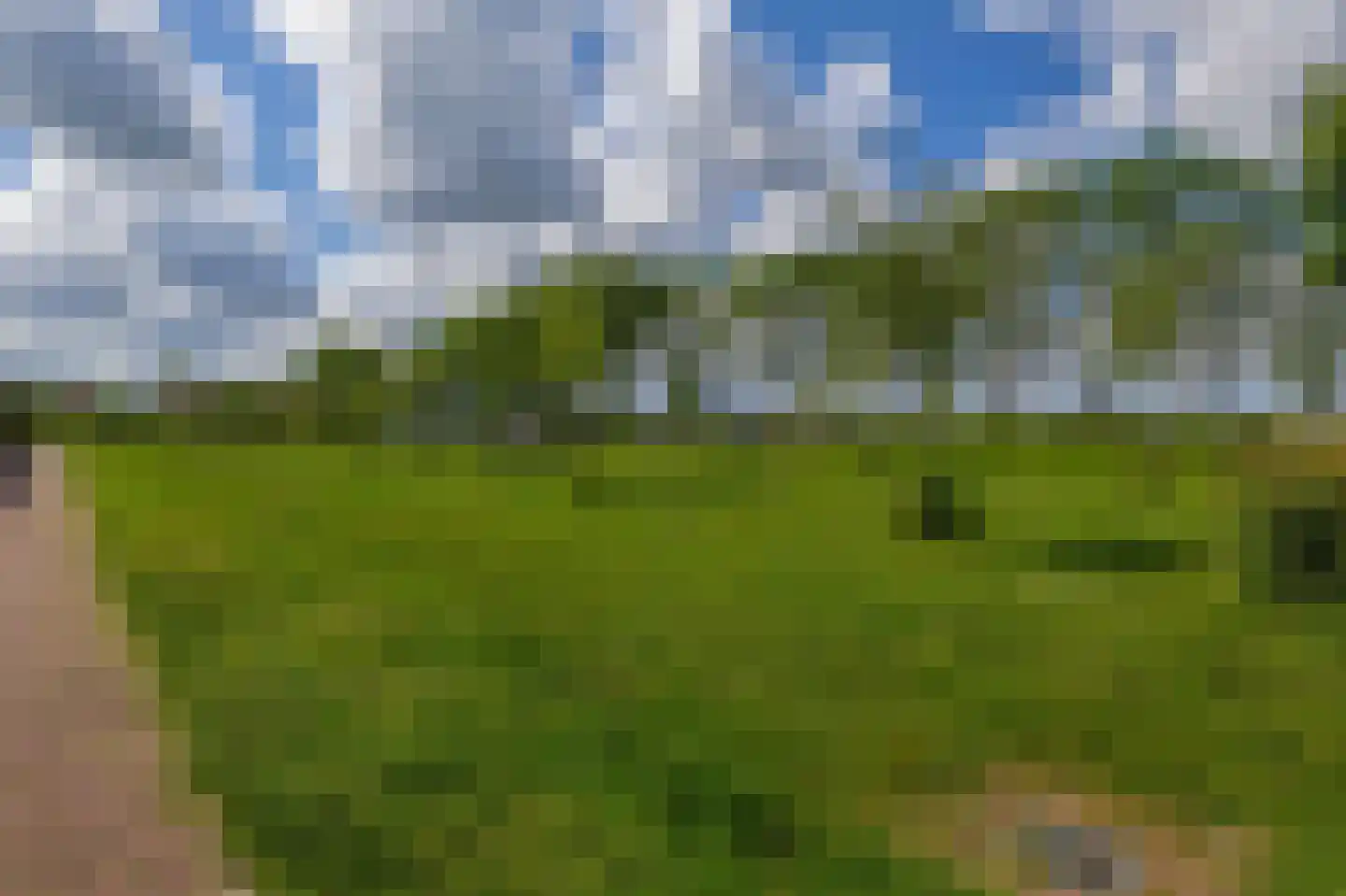 Pijlkruid 37 Meerstad thumbnail 38