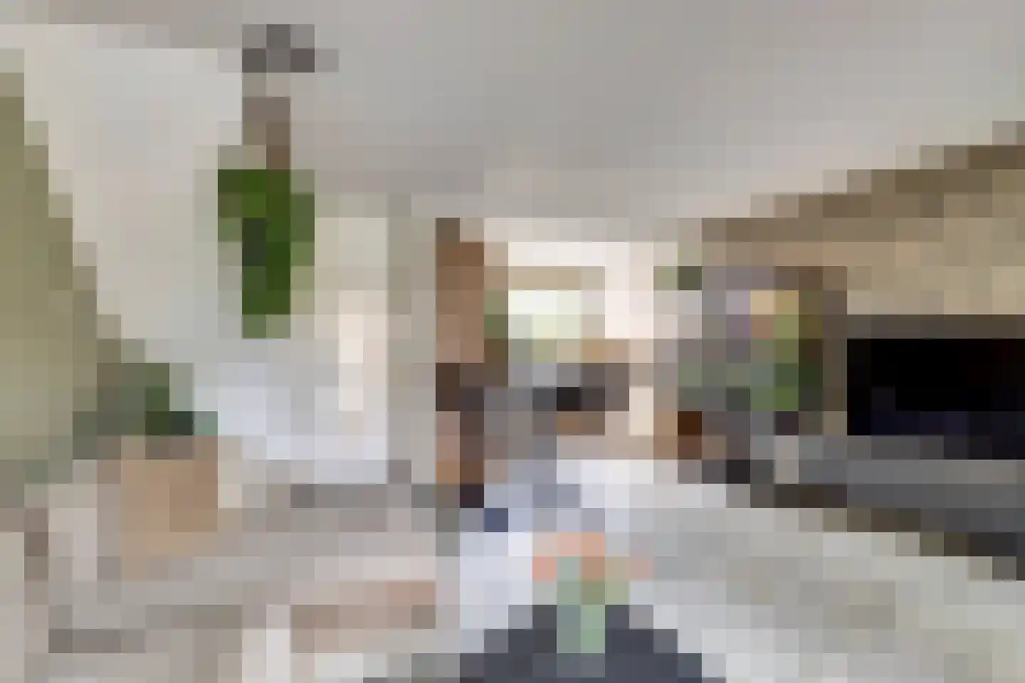 Pijlkruid 4 Moordrecht thumbnail 10