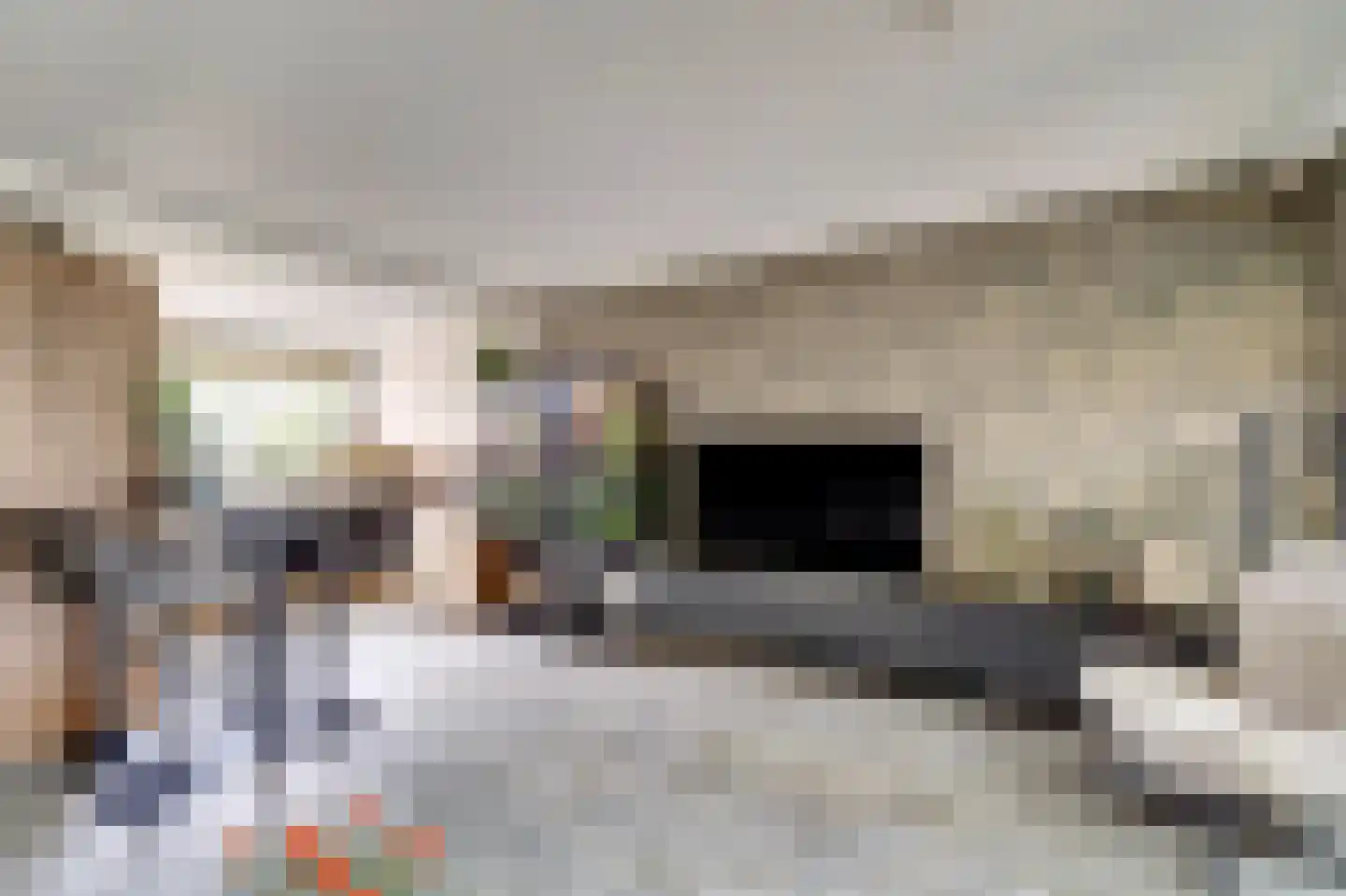 Pijlkruid 4 Moordrecht thumbnail 11