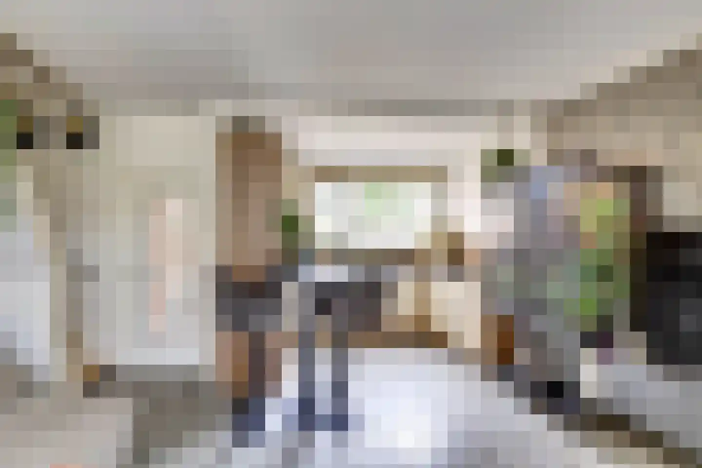 Pijlkruid 4 Moordrecht thumbnail 12