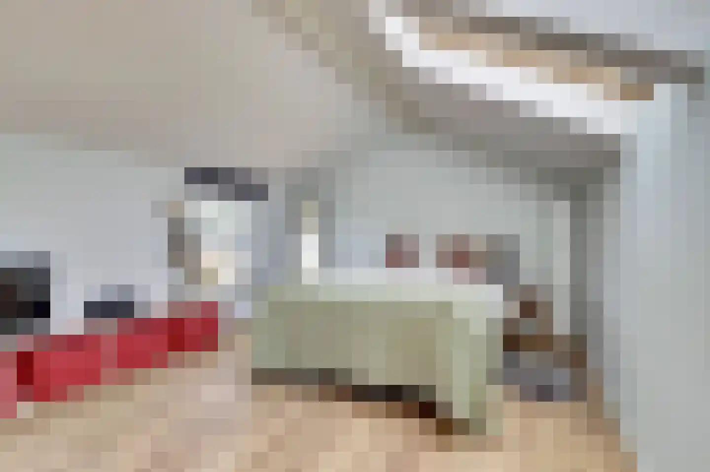 Pijlkruid 4 Moordrecht thumbnail 22