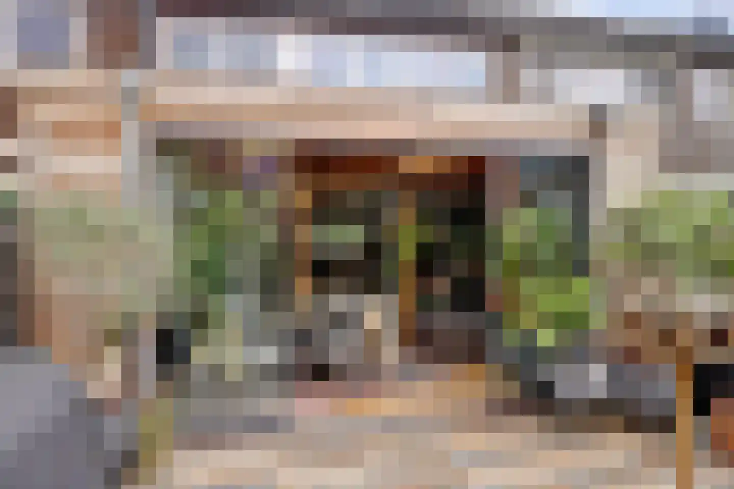 Pijlkruid 4 Moordrecht thumbnail 26