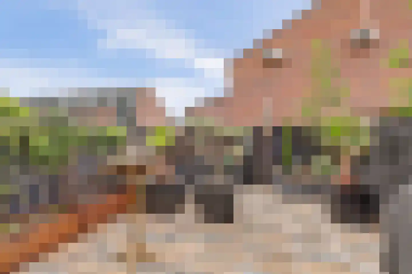 Pijlkruid 4 Moordrecht thumbnail 27