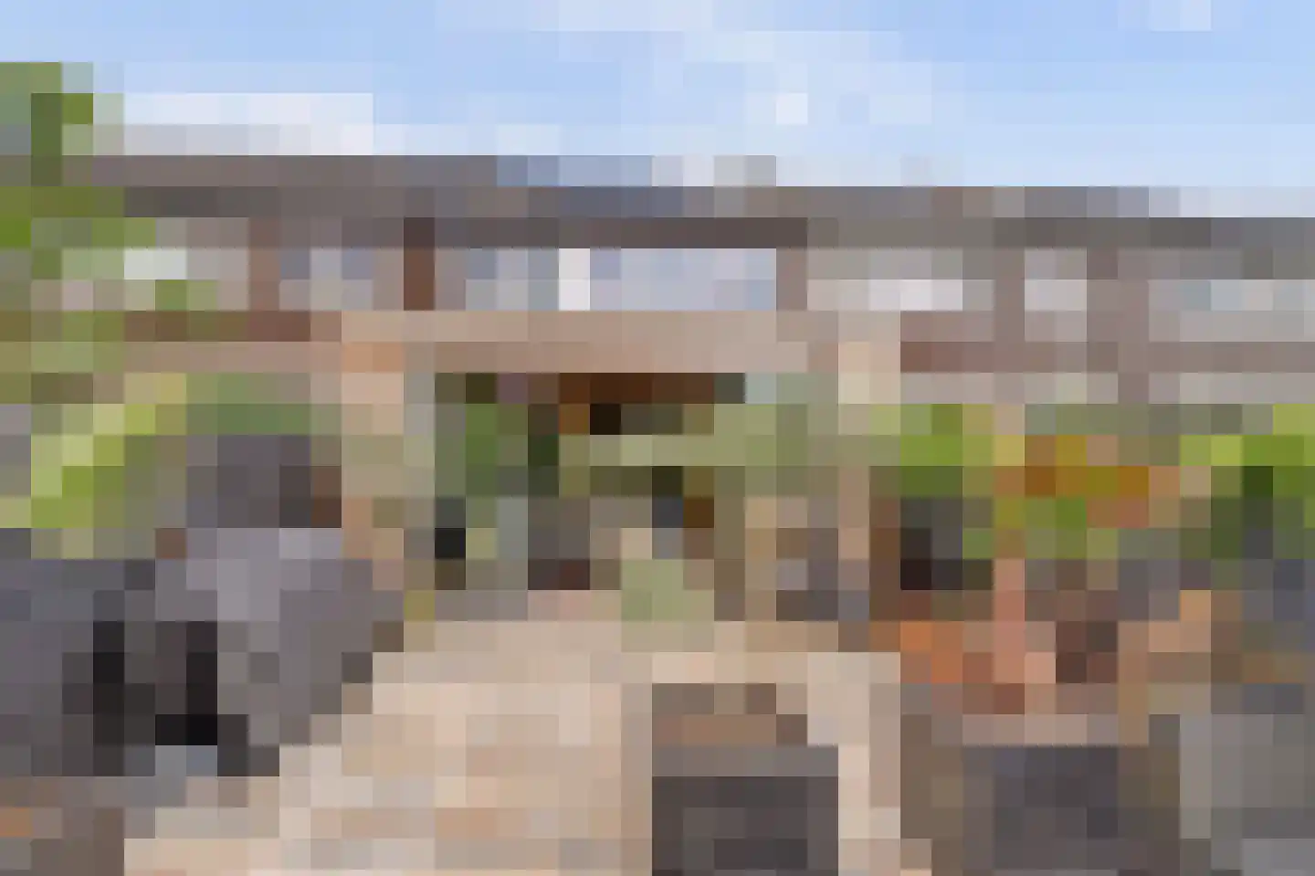 Pijlkruid 4 Moordrecht thumbnail 28