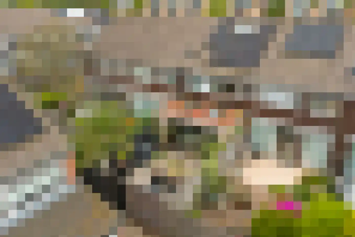 Pijlkruid 4 Moordrecht thumbnail 29