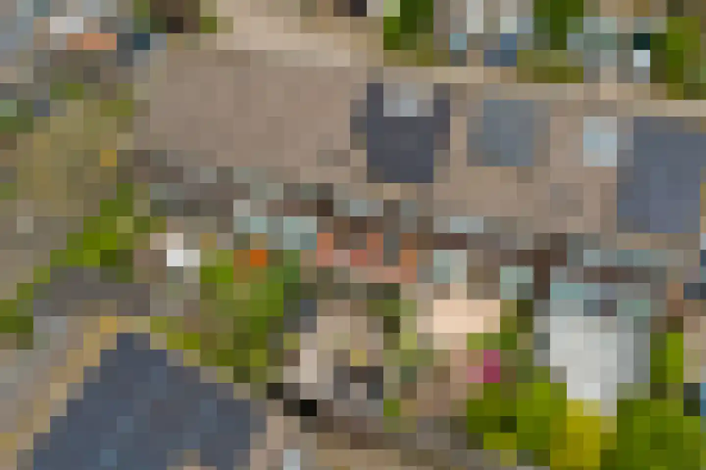 Pijlkruid 4 Moordrecht thumbnail 30