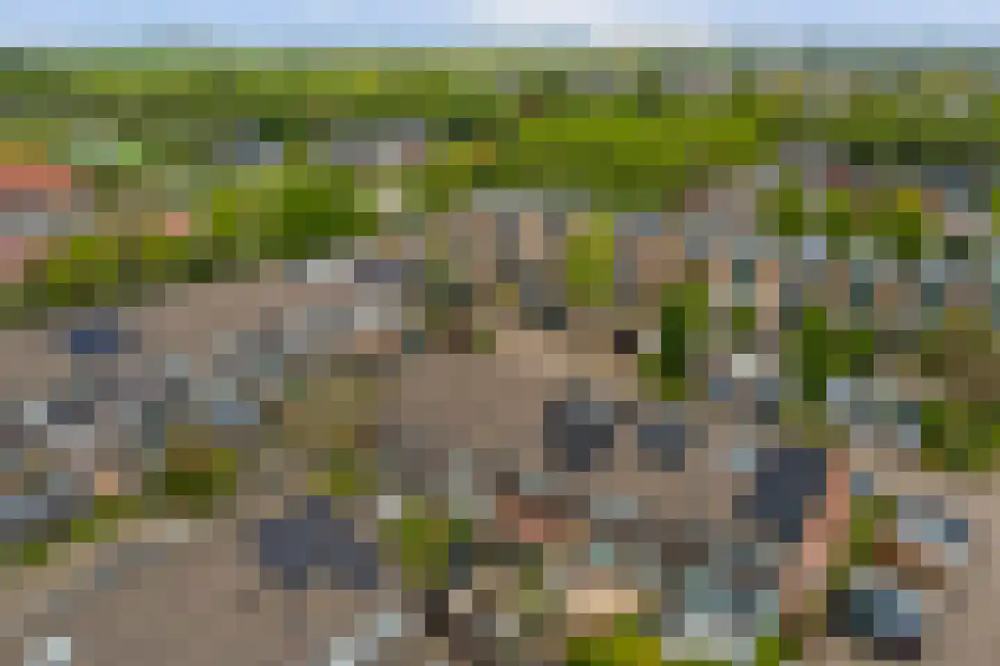 Pijlkruid 4 Moordrecht thumbnail 31