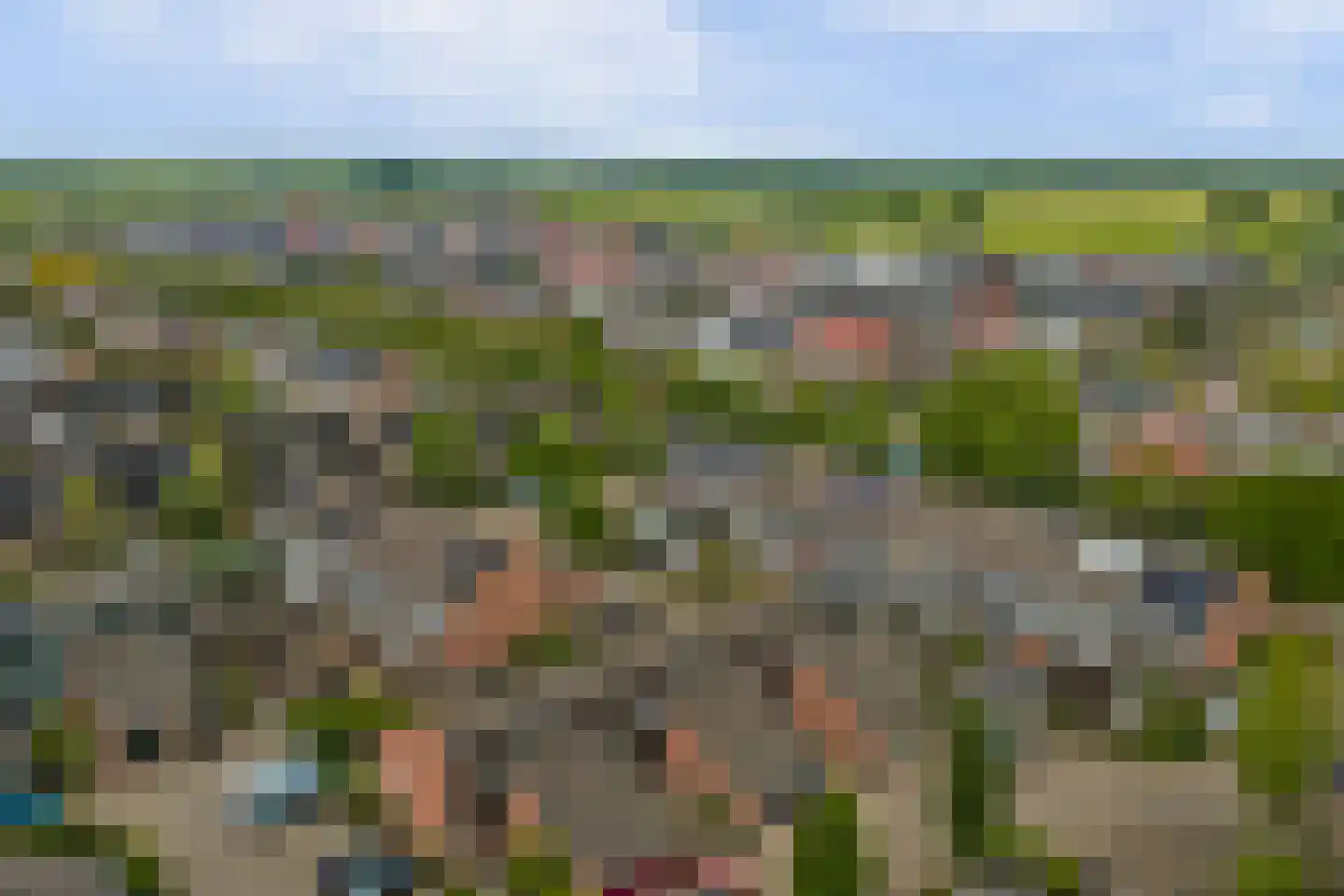 Pijlkruid 4 Moordrecht thumbnail 32