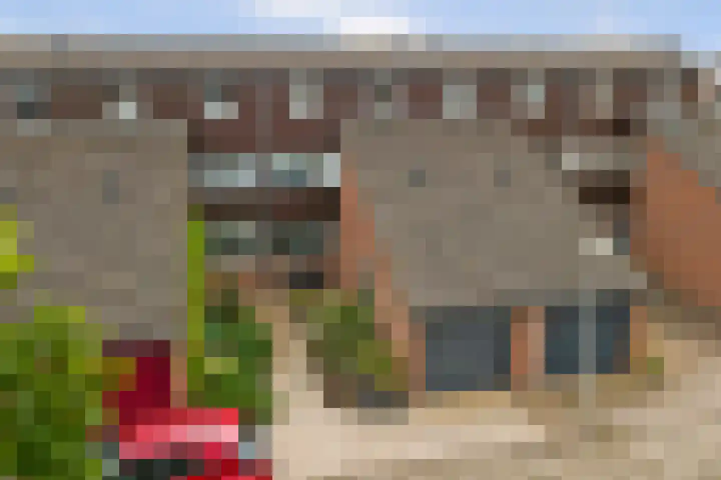 Pijlkruid 4 Moordrecht thumbnail 34