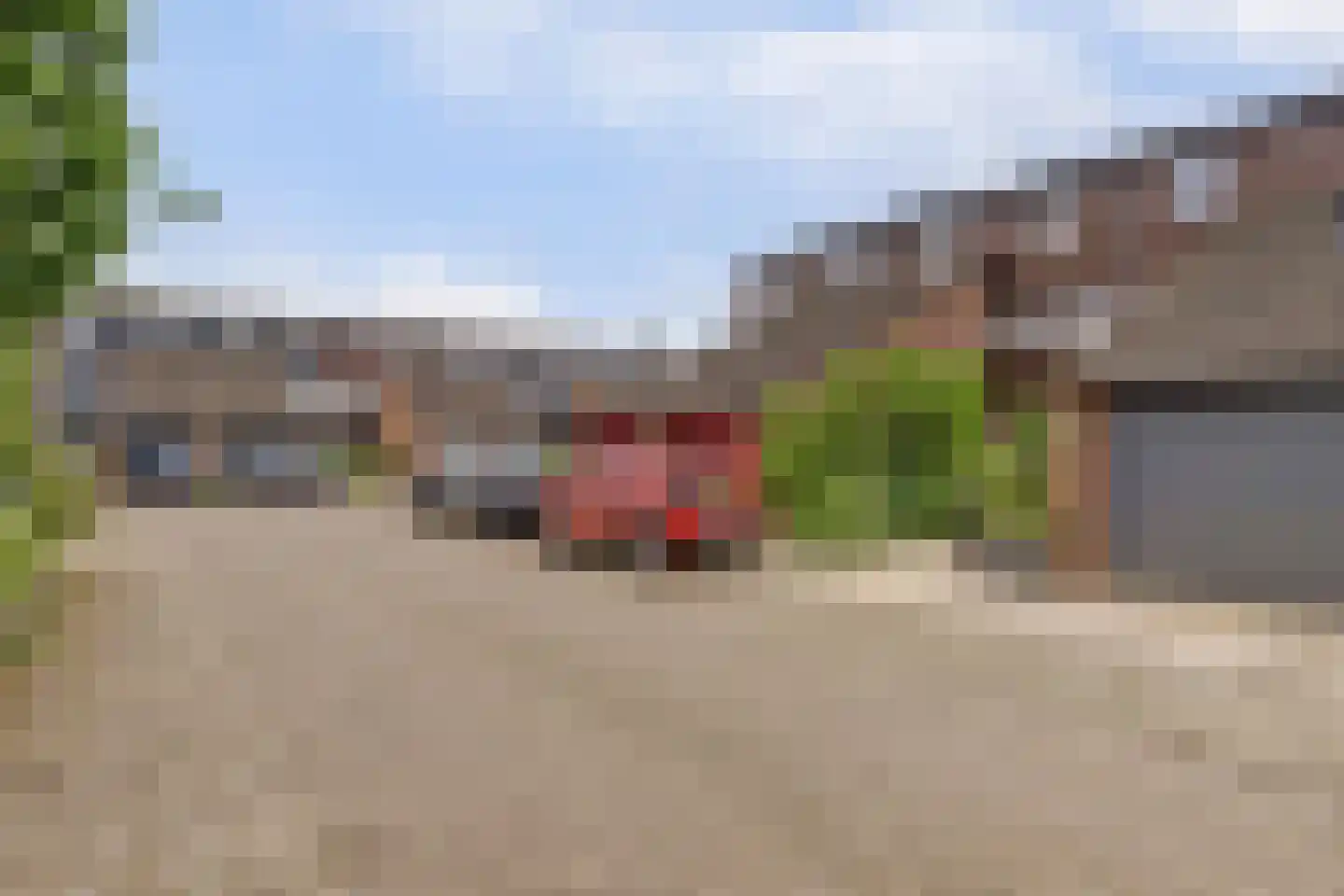Pijlkruid 4 Moordrecht thumbnail 36