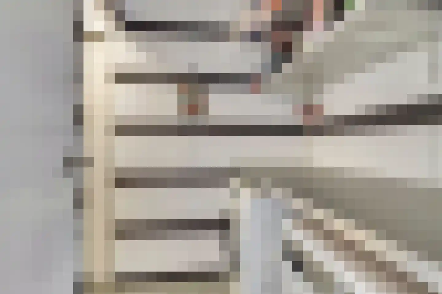 Pijlkruid 4 Moordrecht thumbnail 6