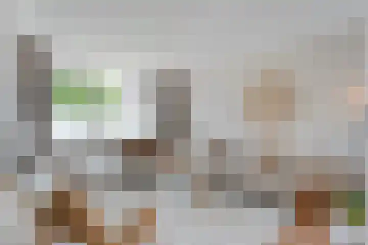 Pijlkruid 47 Nijverdal thumbnail 12