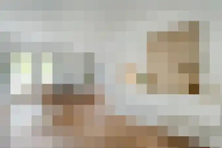 Pijlkruid 47 Nijverdal thumbnail 15