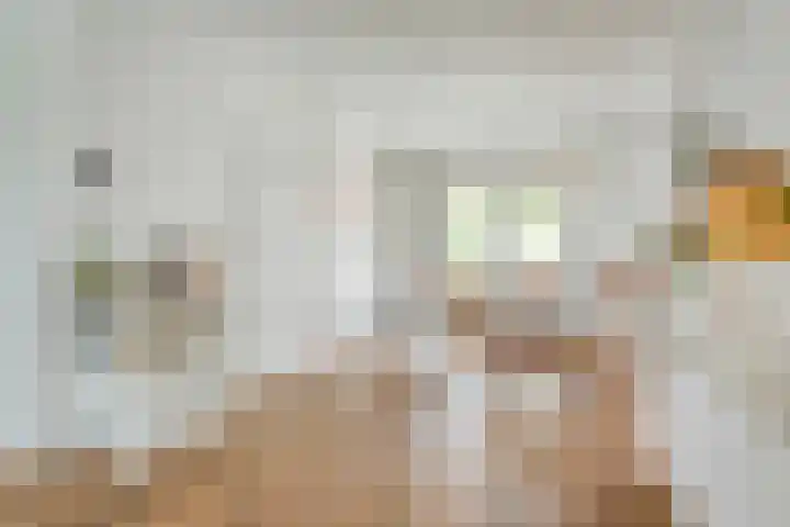 Pijlkruid 47 Nijverdal thumbnail 16
