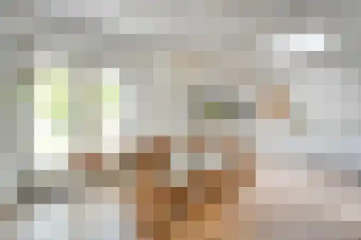 Pijlkruid 47 Nijverdal thumbnail 17