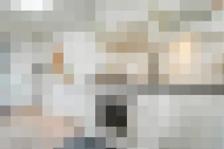 Pijlkruid 47 Nijverdal thumbnail 20