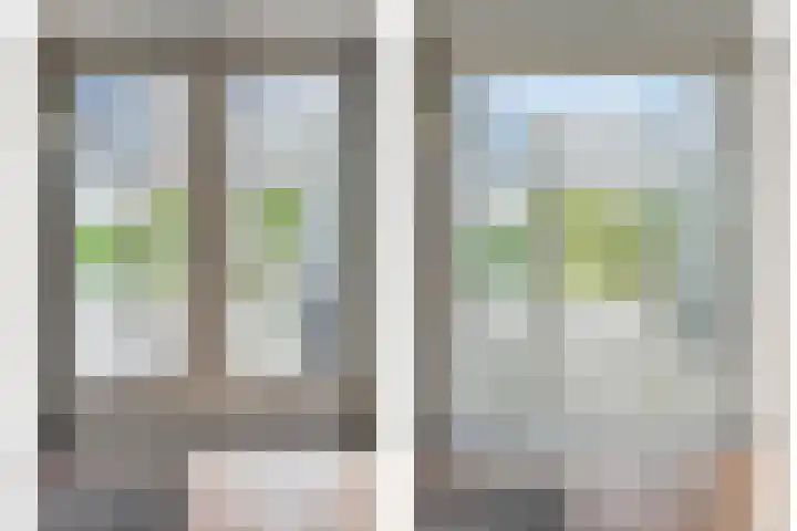 Pijlkruid 47 Nijverdal thumbnail 22