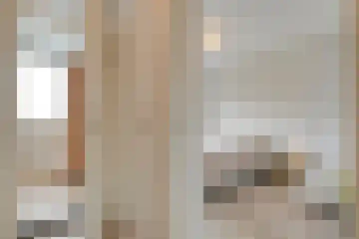 Pijlkruid 47 Nijverdal thumbnail 25
