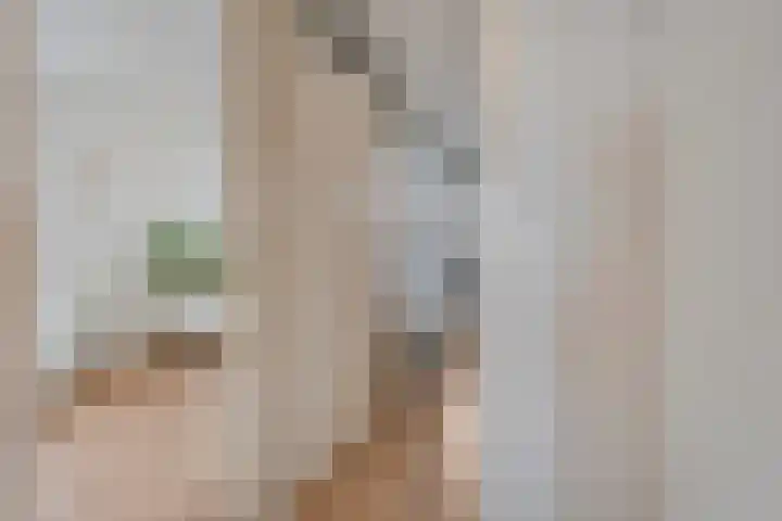 Pijlkruid 47 Nijverdal thumbnail 26