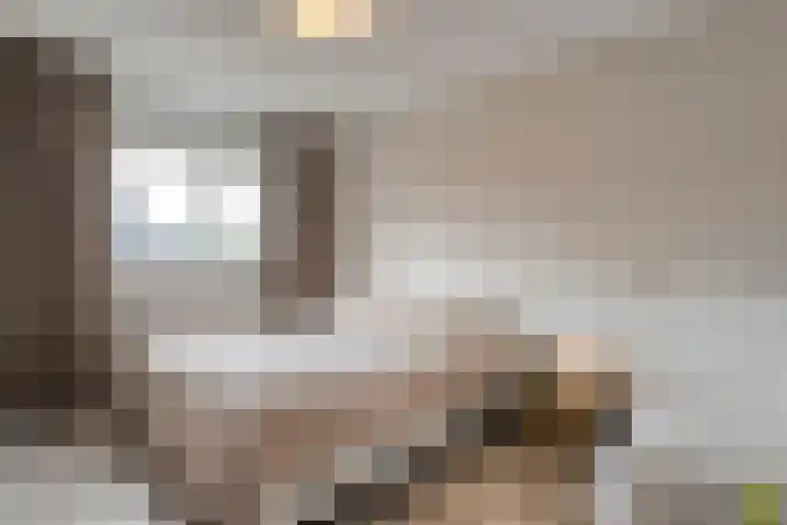 Pijlkruid 47 Nijverdal thumbnail 27