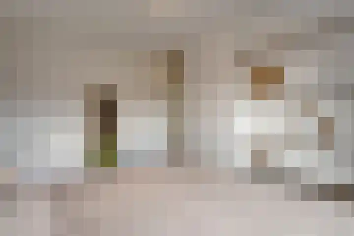 Pijlkruid 47 Nijverdal thumbnail 28